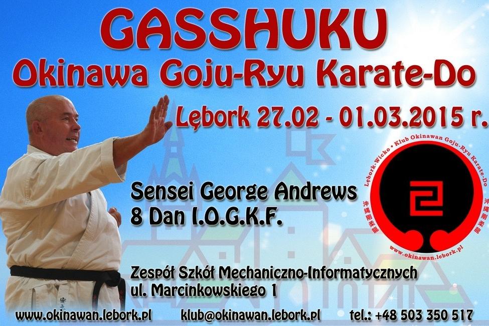 Ogólnopolskie szkolenie karate „Gashuku Lębork 2015” dla mieszkańców Lęborka