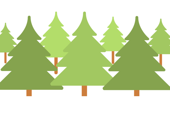 Odbiorą choinkę po świętach