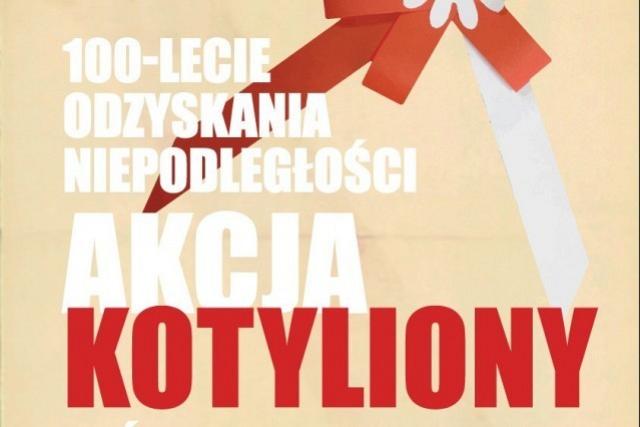 Akcja kotyliony