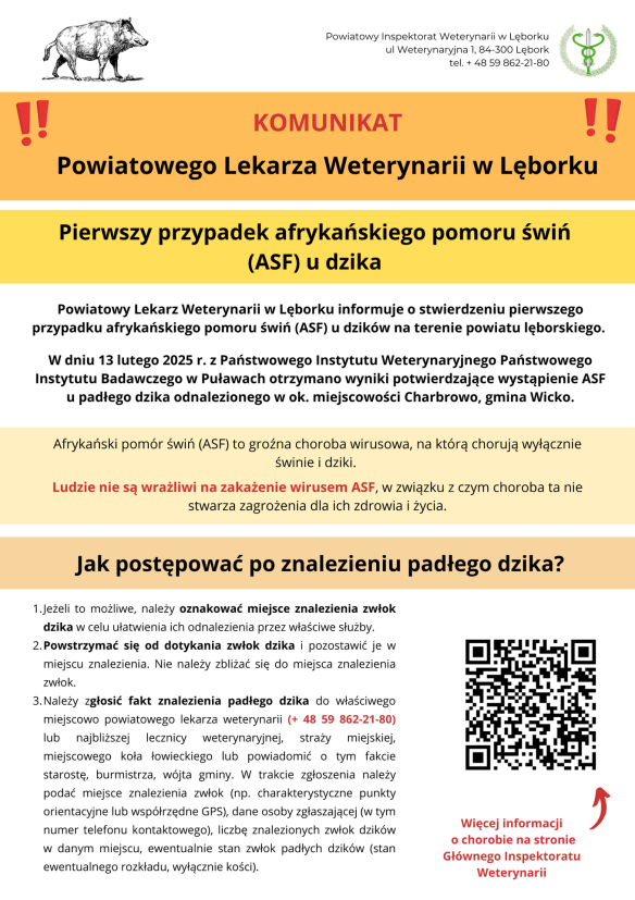 Pierwsze ognisko ASF u dzika na terenie powiatu lęborskiego