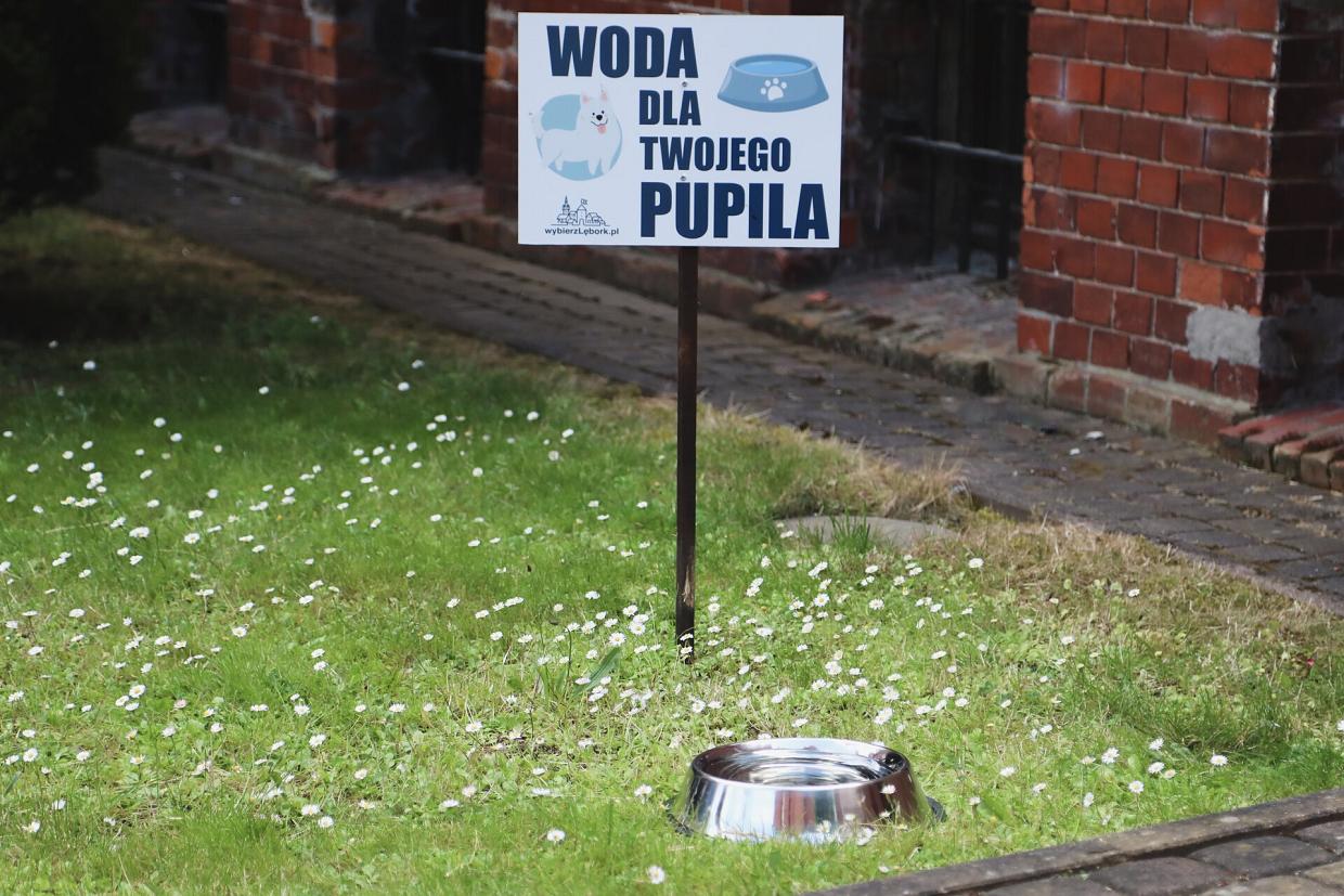 Miski z wodą dla zwierząt ponownie przed lęborskim ratuszem