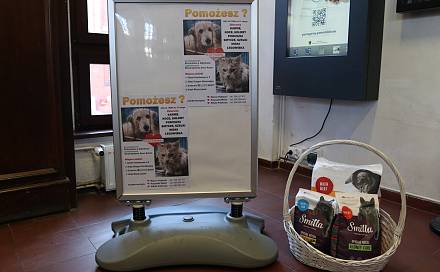 Czytaj o: W ratuszu trwa zbiórka dla zwierząt