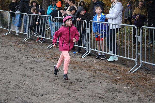 Indywidualne Biegi Przełajowe z okazji Święta Niepodległości w strugach deszczu