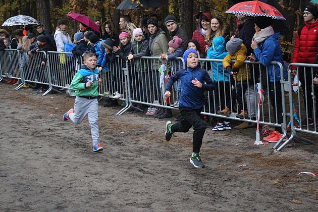 Indywidualne Biegi Przełajowe z okazji Święta Niepodległości w strugach deszczu