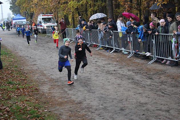 Indywidualne Biegi Przełajowe z okazji Święta Niepodległości w strugach deszczu
