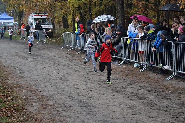 Indywidualne Biegi Przełajowe z okazji Święta Niepodległości w strugach deszczu