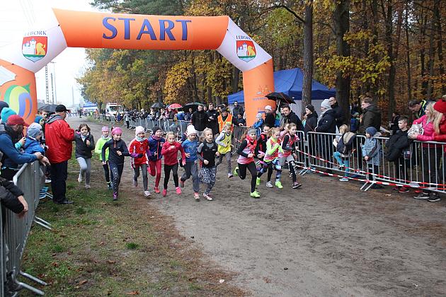 Indywidualne Biegi Przełajowe z okazji Święta Niepodległości w strugach deszczu