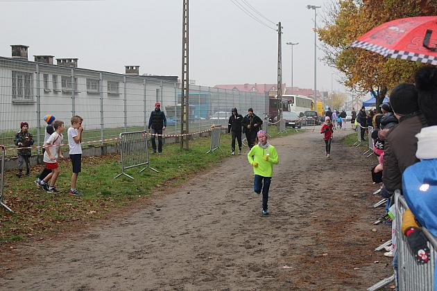 Indywidualne Biegi Przełajowe z okazji Święta Niepodległości w strugach deszczu