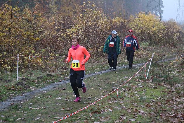 Indywidualne Biegi Przełajowe z okazji Święta Niepodległości w strugach deszczu