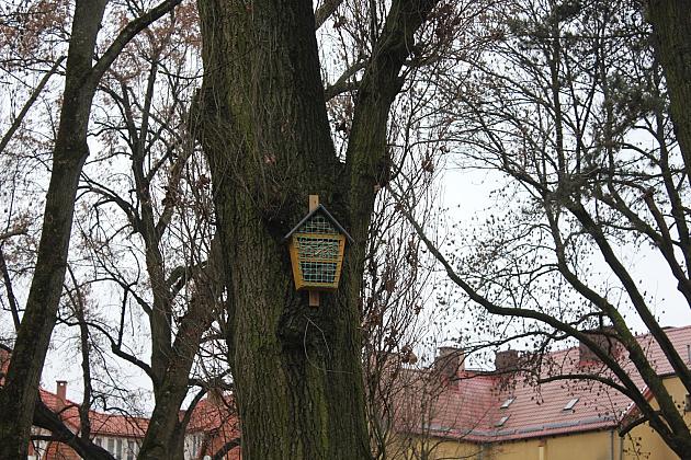 „Mini Park” nad rzeką Łebą zmienił oblicze