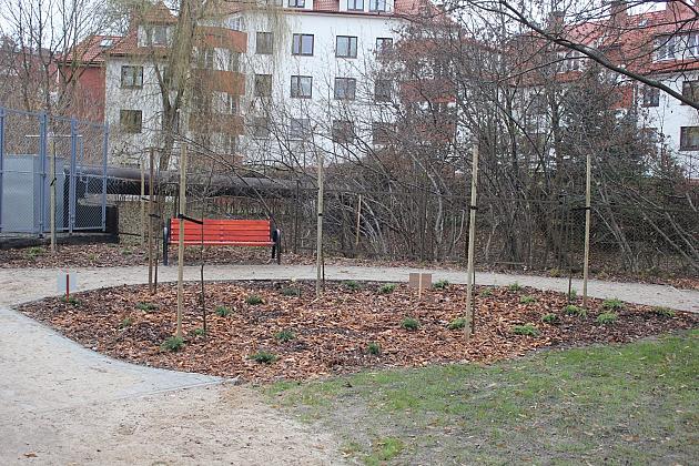 „Mini Park” nad rzeką Łebą zmienił oblicze