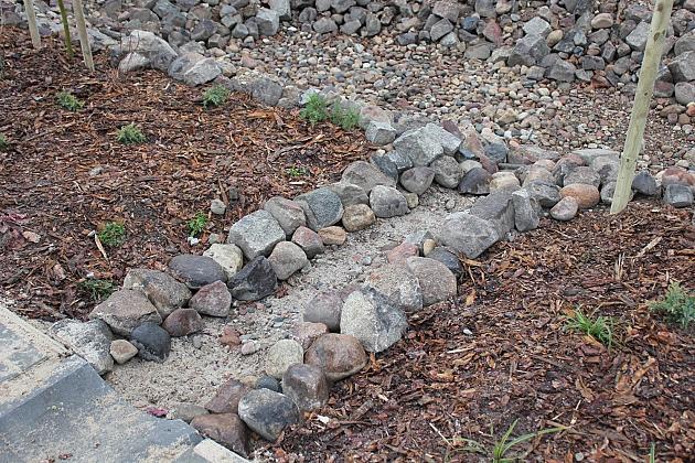 Przy Olimpijczyków powstały ogrody deszczowe