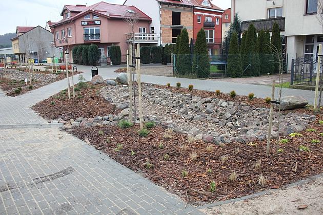 Przy Olimpijczyków powstały ogrody deszczowe