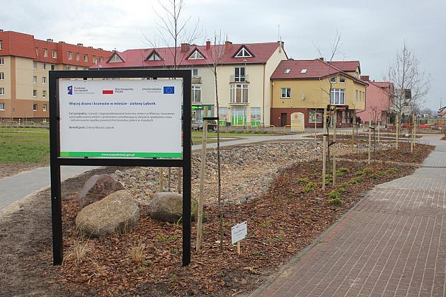 Przy Olimpijczyków powstały ogrody deszczowe