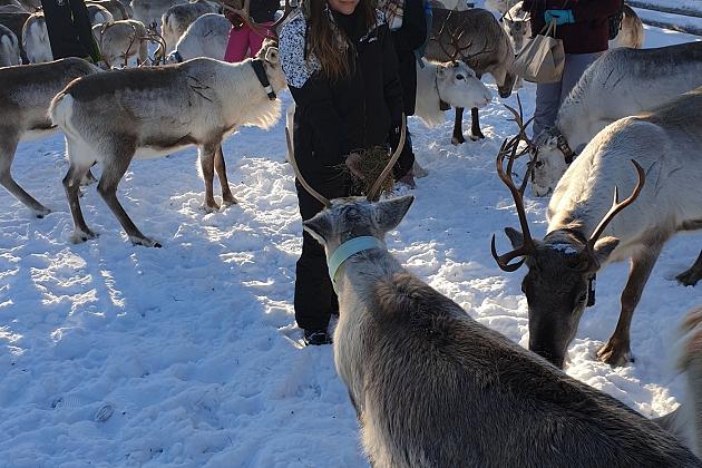 Erasmus+. Uczniowie i nauczyciele z SP1 odwiedzili Finlandię