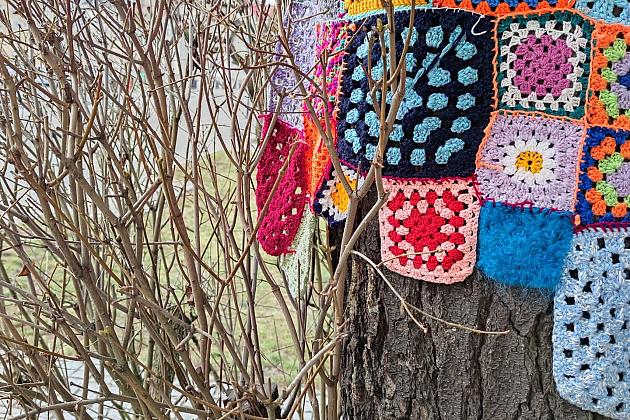 Happening Eko-Nić przed biblioteką – w Międzynarodowym Dniu Książki i Praw Autorskich