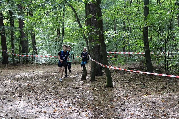 Pierwszy bieg za nami!