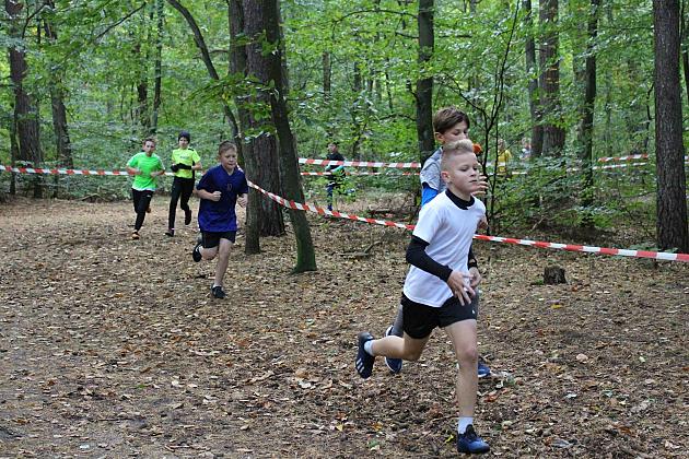 Pierwszy bieg za nami!