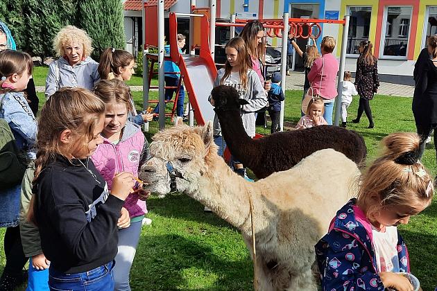 Festiwal Uliczny na obszarze rewitalizacji Lębork Nowy Świat