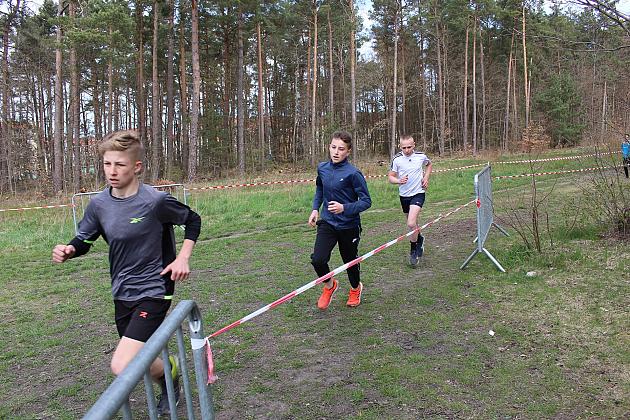 Indywidualne Biegi Przełajowe o Puchar Konstytucji 3 Maja