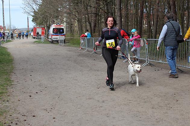 Indywidualne Biegi Przełajowe o Puchar Konstytucji 3 Maja