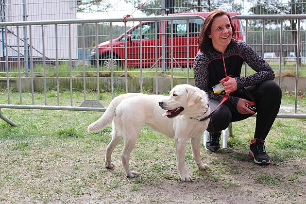 Indywidualne Biegi Przełajowe o Puchar Konstytucji 3 Maja