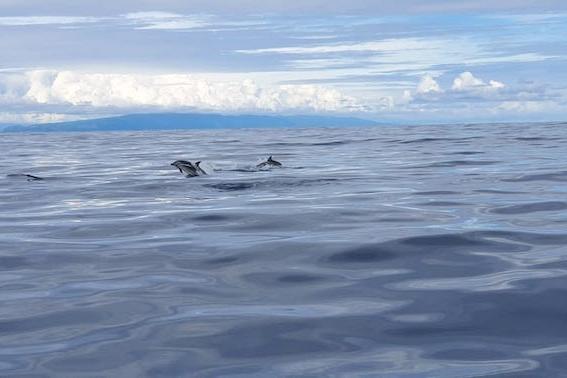 Uczniowie SP1 z Erasmusa+ polecieli na Azory