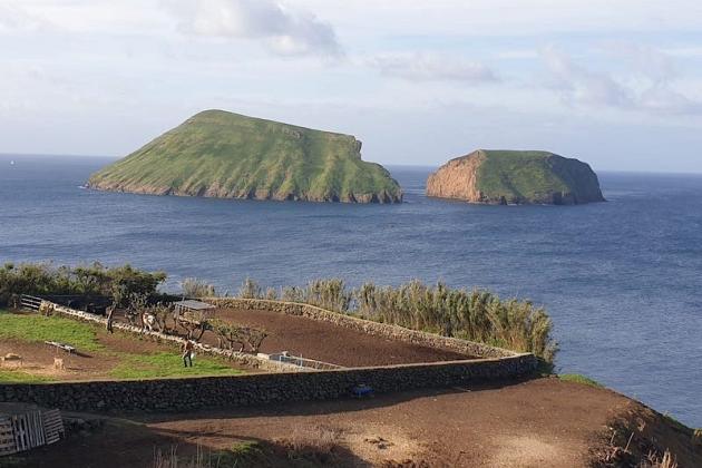 Uczniowie SP1 z Erasmusa+ polecieli na Azory