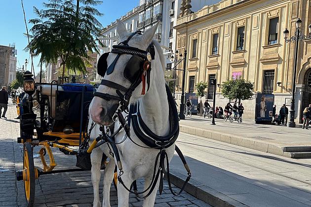 Uczniowie i nauczyciele „Jedynki” w ramach Erasmus+ polecieli do Hiszpanii