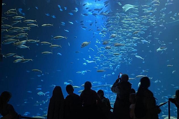 Polsko-niemiecka młodzieżowa wymiana w Stralsundzie
