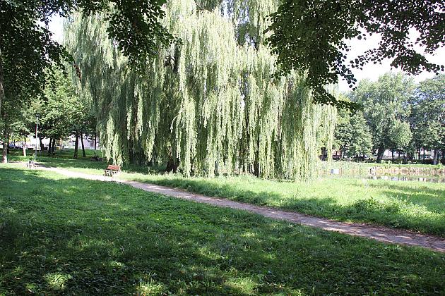 Ruszyła przebudowa Parku im. Marii i Lecha Kaczyńskich