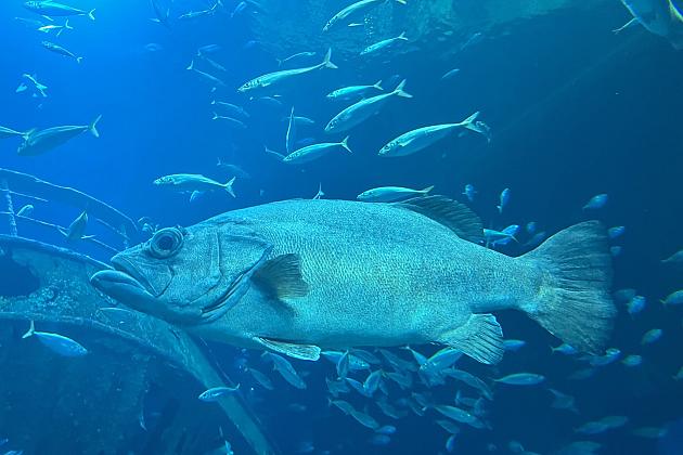 Szkolna polsko-niemiecka wymiana w Stralsundzie pt.: „Was verbindet?”- „Co łączy?