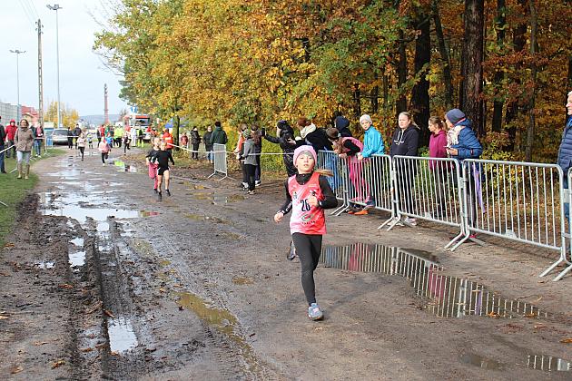 Biegi Przełajowe z okazji Święta Niepodległości