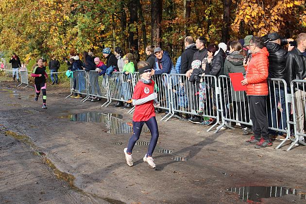 Biegi Przełajowe z okazji Święta Niepodległości