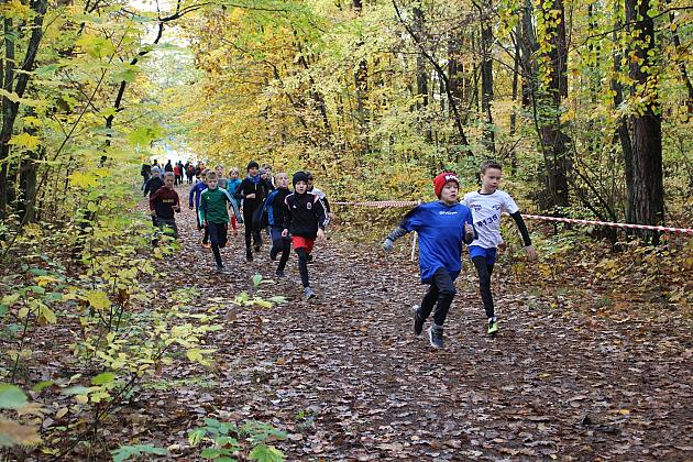 Biegi Przełajowe z okazji Święta Niepodległości