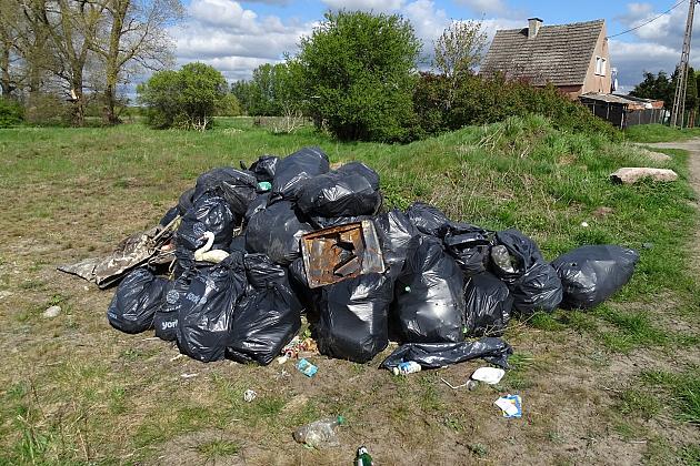 W sobotę czyszczono brzegi rzeki Łeby w ramach ogólnopolskiej inicjatywy 'Operacja Czysta Rzeka'