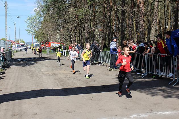 Indywidualne Biegi Przełajowe o Puchar Konstytucji 3 Maja za nami
