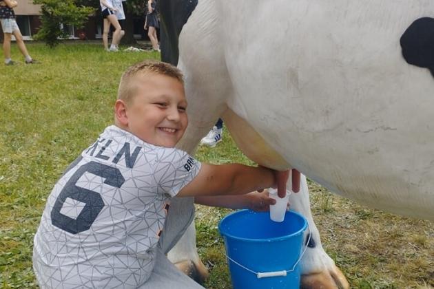 Piknik Rodzinny w Szkole Podstawowej nr 7