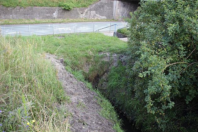 Akcja melioracja. Trwa koszenie i odmulanie rowów melioracyjnych