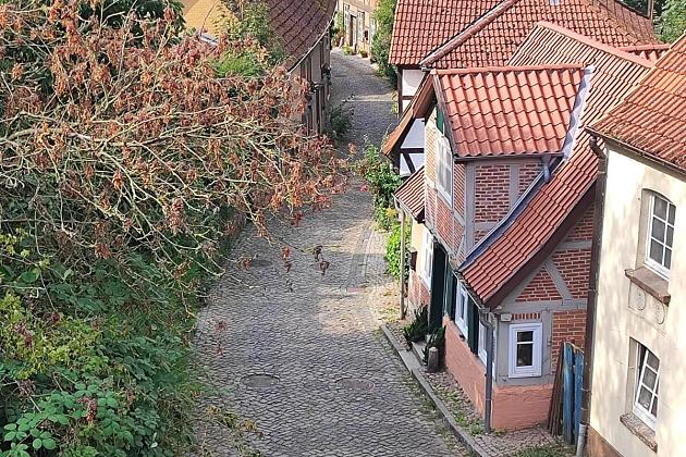 66. Rocznica Partnerstwa Miast: Uroczyste Spotkanie w Lauenburgu