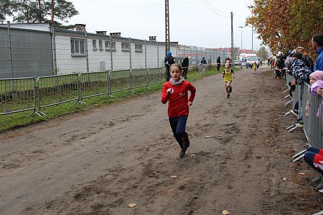 Pobiegli z okazji Święta Niepodległości