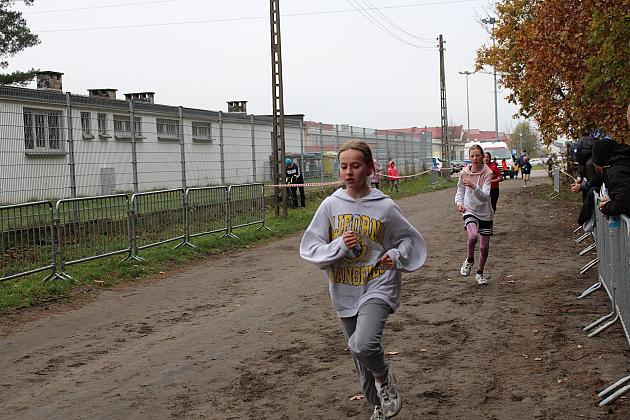 Pobiegli z okazji Święta Niepodległości