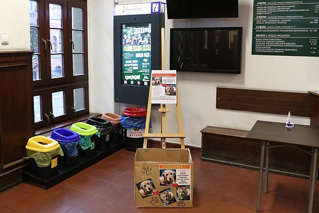 W ratuszu ruszyła zbiórka dla zwierząt