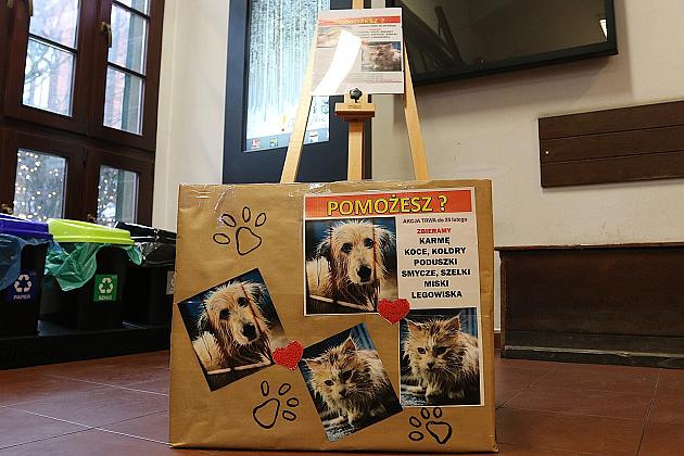 W ratuszu ruszyła zbiórka dla zwierząt
