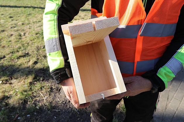 Nowe budki lęgowe dla ptaków już na drzewach