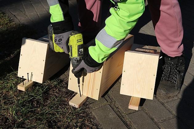 Nowe budki lęgowe dla ptaków już na drzewach