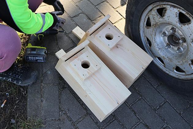 Nowe budki lęgowe dla ptaków już na drzewach