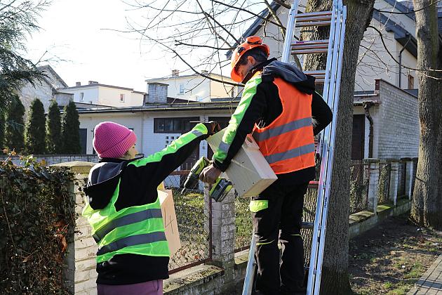 Nowe budki lęgowe dla ptaków już na drzewach