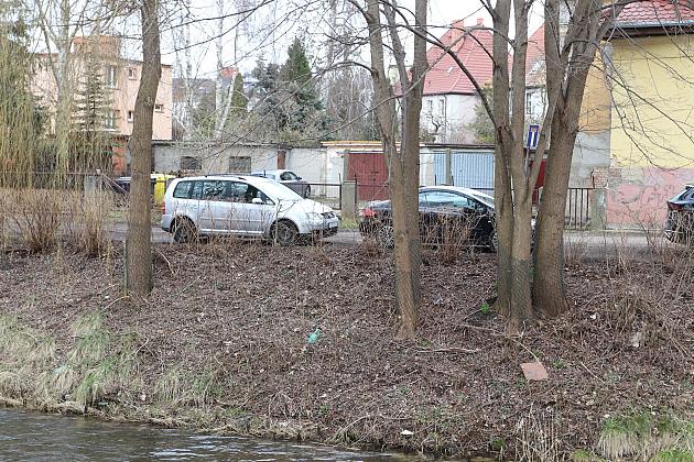 Drzewa zabezpieczone przed niszczycielskim działaniem bobrów
