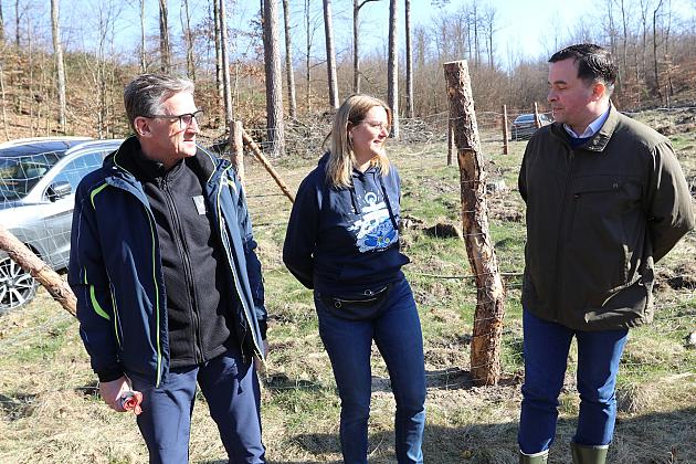 Wielka akcja wspólnego sadzenia lasu w Nadleśnictwie Lębork